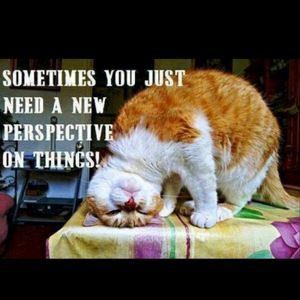 Meet your Posher, Colleen